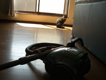 そうあいつあいつ超～嫌い！！