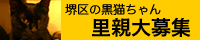 堺里親募集中です。