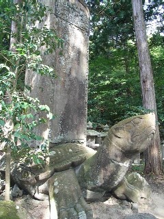 月照寺・大亀