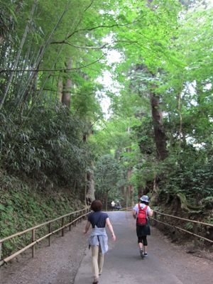 中尊寺への道