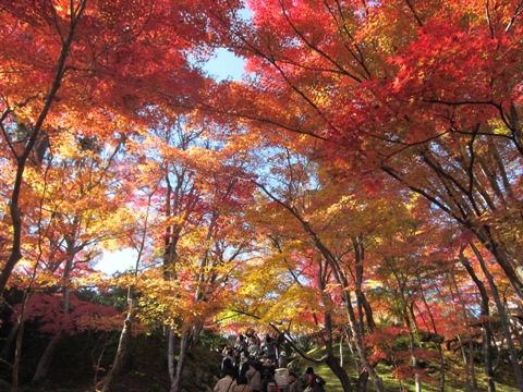 常寂光寺2