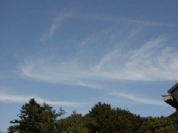 高尾山の空