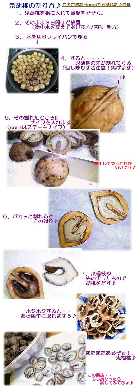鬼胡桃.JPG