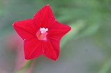 IMG_2542.jpg