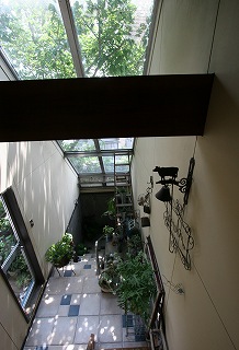 IMG_8782.jpg