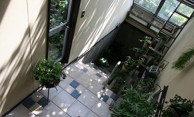 IMG_8811.jpg