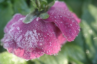 IMG_9503.jpg