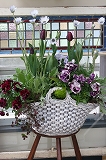 IMG_1679.jpg