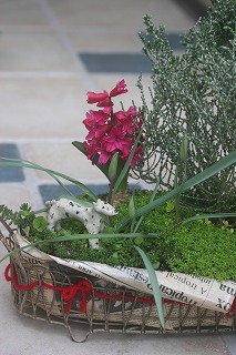 IMG_9870.jpg