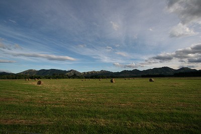 NZ1