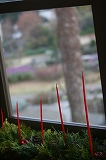 IMG_6402.jpg