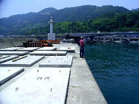 200506由比漁港