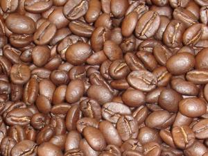 エルサルバドル