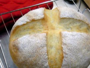 本日のパン。カンパーニュ。