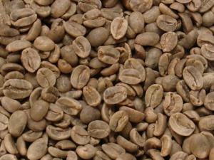 ブルーマウンテン生豆