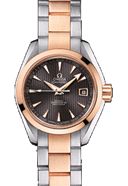 SeaMaster04 AquaTerra AT Ladies