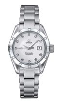 Seamaster Aqua Terra Automatic