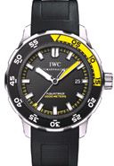 AquaTimer13 Automatic2000