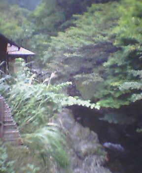 美山荘　川