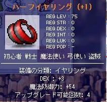 ドメ装備2005-5