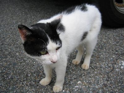 20050826a