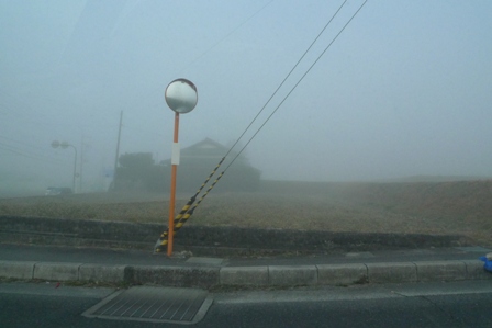 霧の道路脇