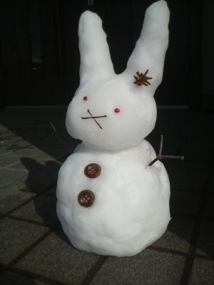 20110117-snow2