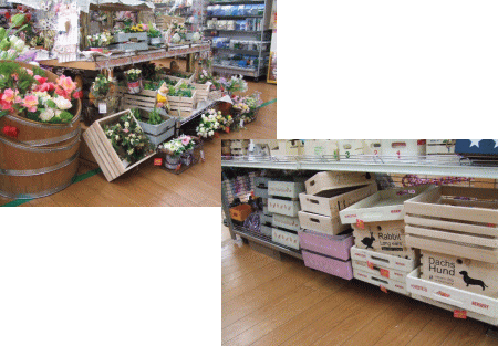 100円ショップ　ガーデニングコーナー