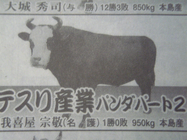 パンダ１