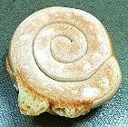 モッツアレラ-2