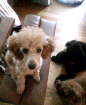 P1000009.JPG