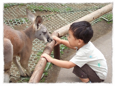 dc091201 ｺﾋﾟｰ1.jpg