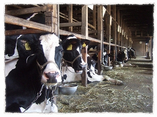 dc091001 ｺﾋﾟｰ1.jpg