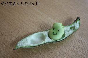 real bed of Soramame