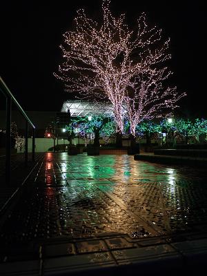 night-6.jpg