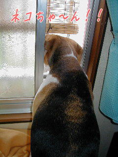 20060421-5.jpg