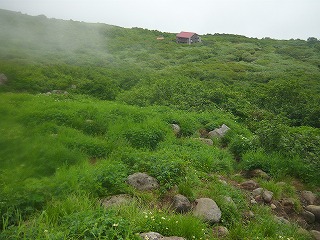 P1020455.jpg