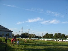 10月9日公園２.jpg