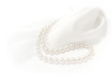 img7d5a5e7bzik5zj のコピー.jpg