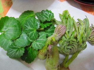 てんぷらにします