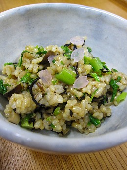 さくらの花びら舞うひじきと大根葉ご飯　