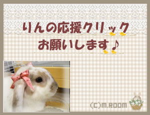 ランキング１０.jpg