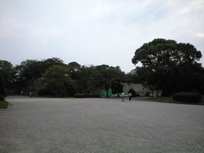 CA3A0410_400.jpg