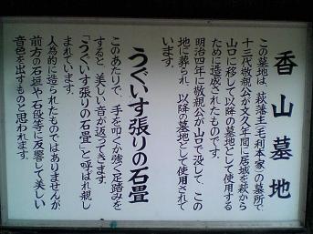 うぐいす1
