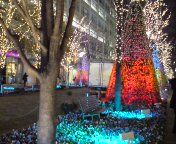 丸の内フラワーファンタジア