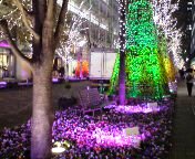 丸の内フラワーファンタジア