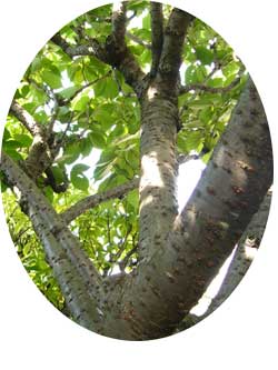 p1030347