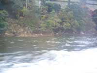 p1010806