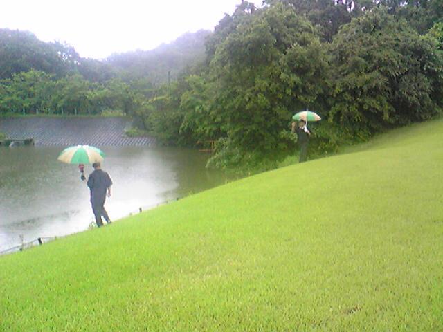 雨なのに池.JPG