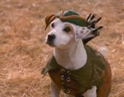 wishbone1.jpg